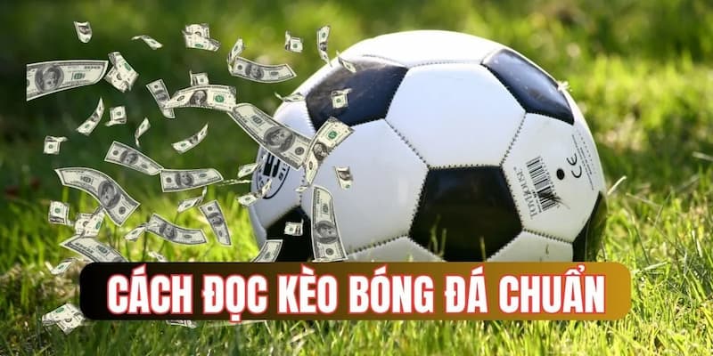 cách đọc kèo bóng đá trên mạng Hướng dẫn chi tiết cách đọc kèo bóng đá trên mạng