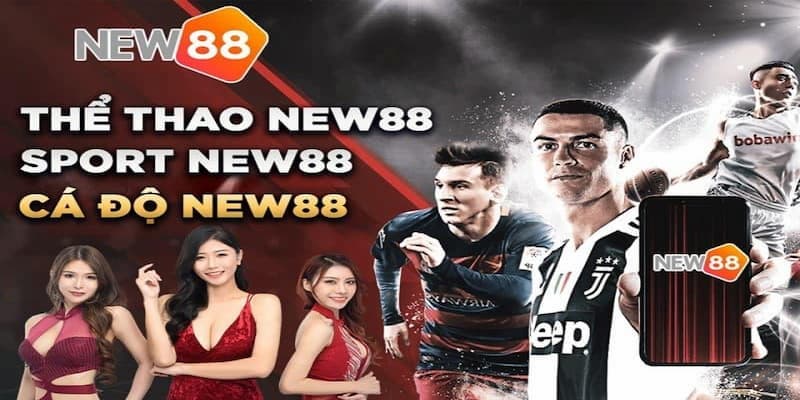 Thể thao New88 Nội dung đa dạng trong Thể thao New88