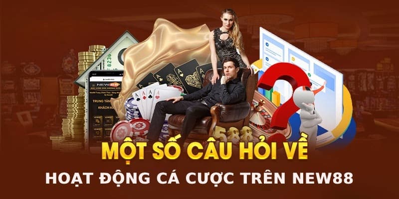 Tổng quan về câu hỏi thường gặp New88