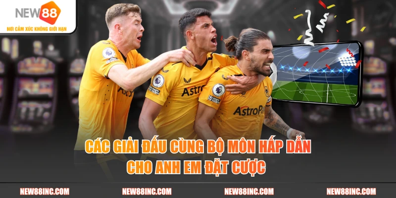 Các giải đấu cùng bộ môn hấp dẫn cho anh em đặt cược