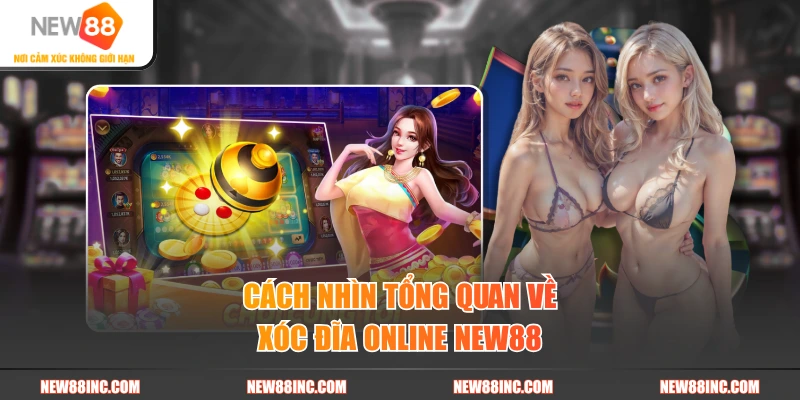 Cách nhìn tổng quan về xóc đĩa online New88