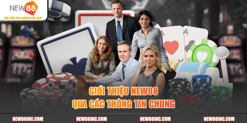 Giới thiệu New88 qua các thông tin chung