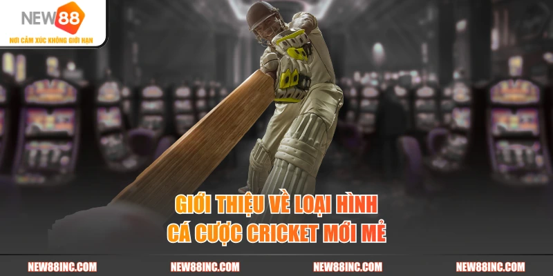 Giới thiệu về loại hình cá cược Cricket mới mẻ
