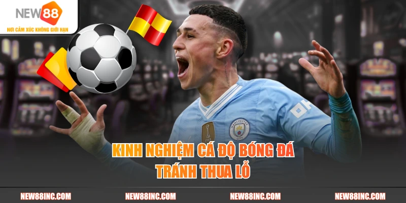 Kinh nghiệm cá độ bóng đá tránh thua lỗ