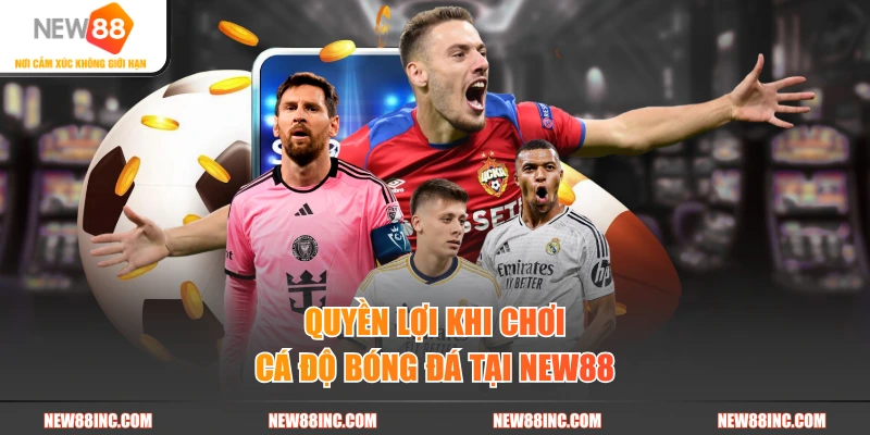Quyền lợi khi chơi cá độ bóng đá tại New88